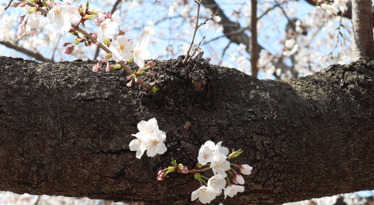 旅写真日記-tabiphotoblog-